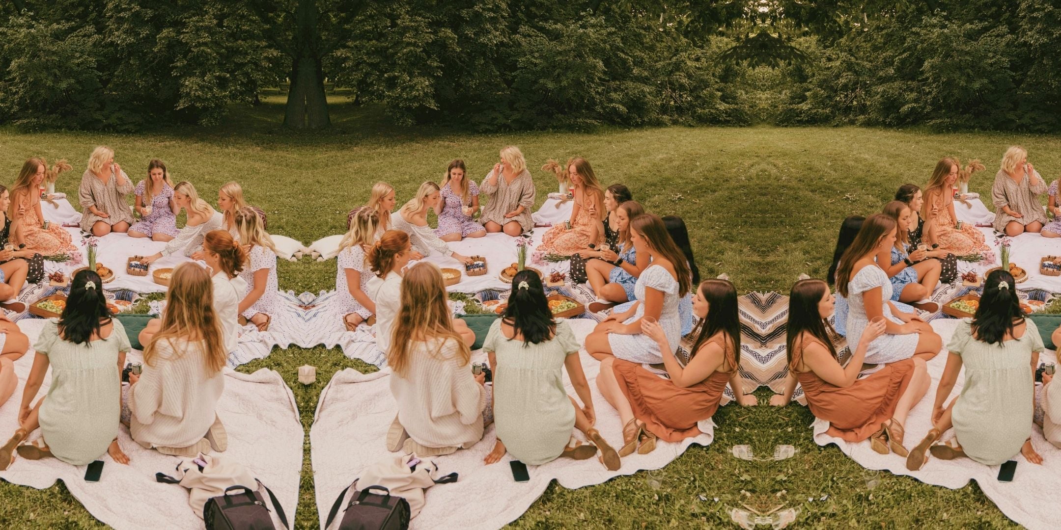 Picnic & Social | Neue Leute kennenlernen