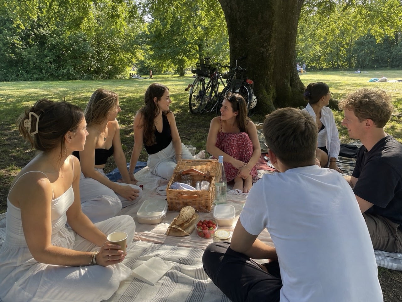 Social Picnic – Jeden Monat ein neuer Lieblingspark