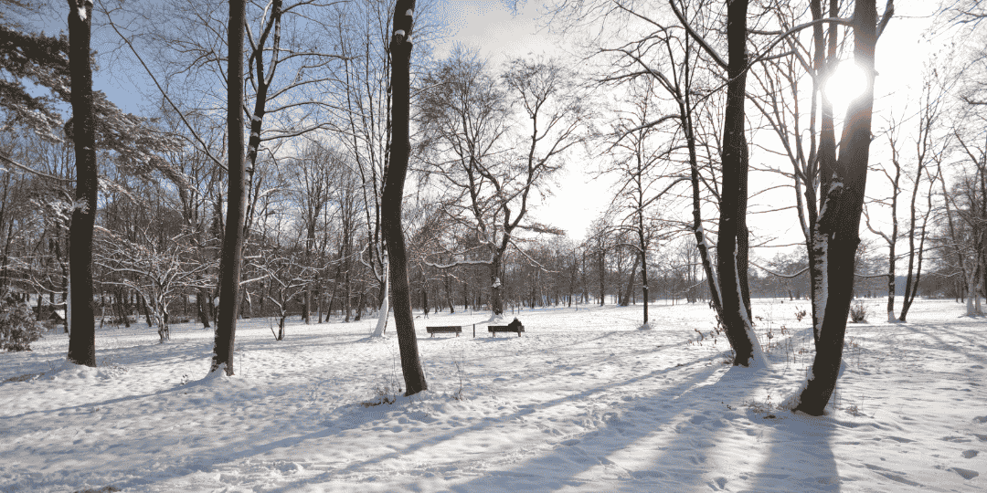 Walk & Social | Winter Edition