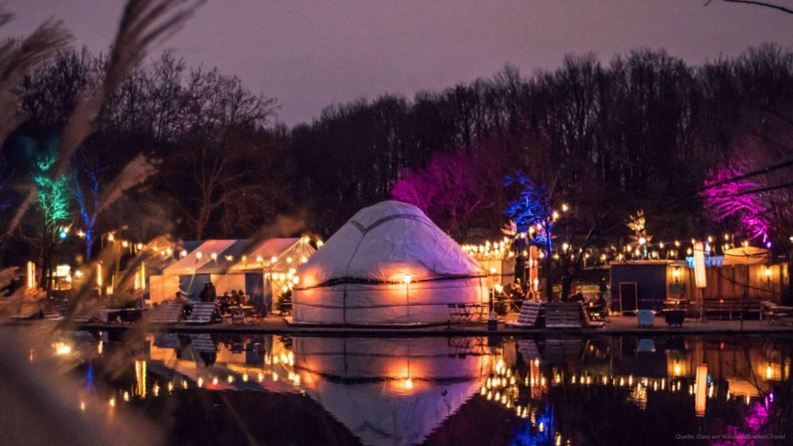 Let's enjoy "Winterzauber Gans am Wasser"